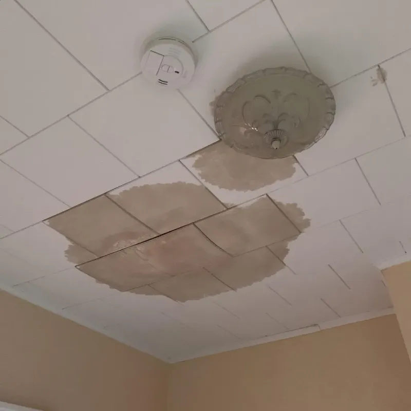 Ceiling Water Damage Repair in Fairview, PA