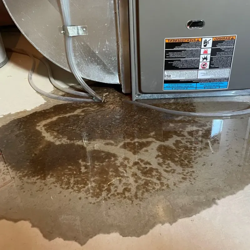 Pipe Burst and Leak Restoration in Fairview, PA
