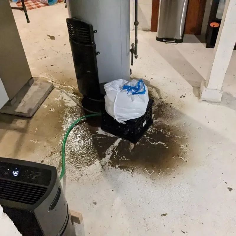 Sewage Backup Cleanup Service in Fairview, PA